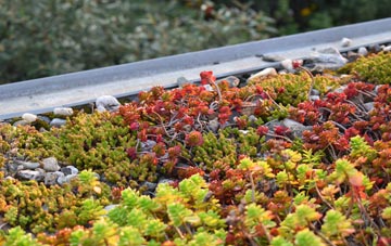 the cost of Listullycurran green roof installation