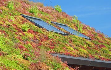 Listullycurran living roof systems